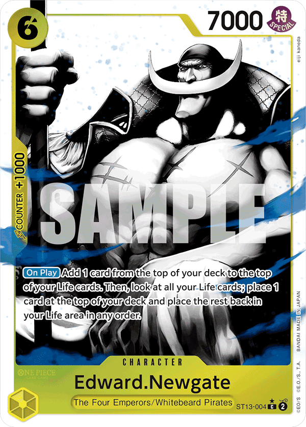 ST13-004_p1