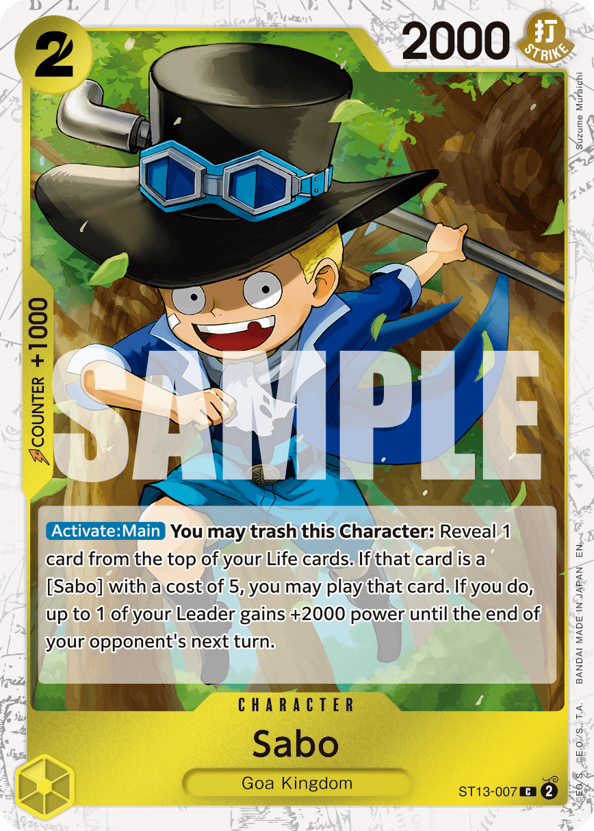 ST13-007_p2