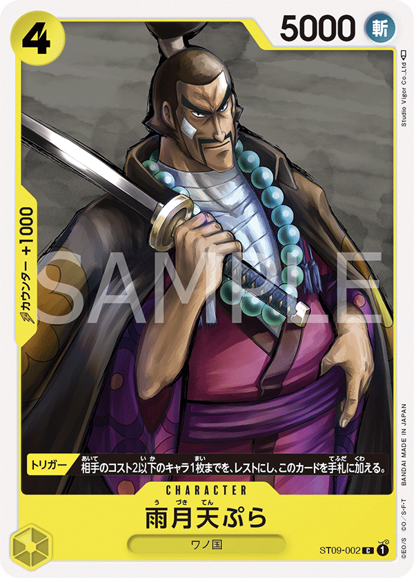 ST09-002 JA