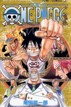 One Piece Volume 45