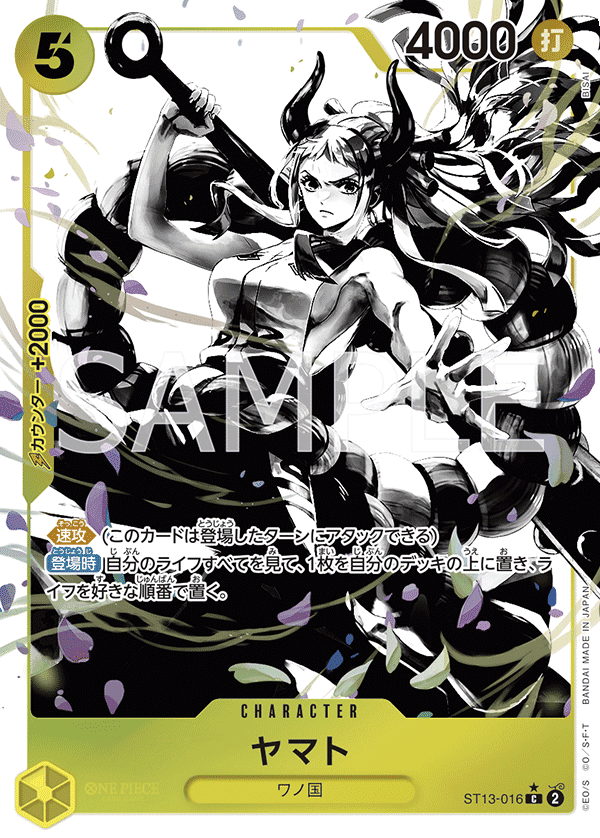 ST13-016_p1 JA